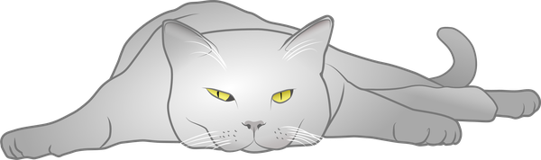 SlimFiT-katten